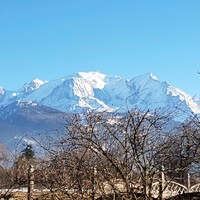 Francesco Giacomoni
