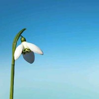 郭炎伟
