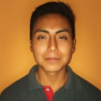 Luis Fabian Castillo landeta