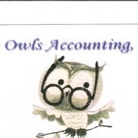 Wise Accounting