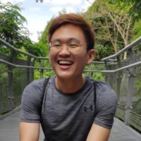 Nigel Lee