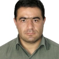 Ali Havasi