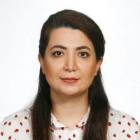 Elham Eftekhari