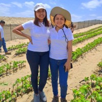 Yadira Anguinet Zapata Lachira