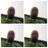Adeyemi Oyebade