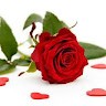 Nimmi Prakash