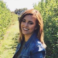 Taylor Koehler