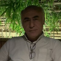 ali arghavan