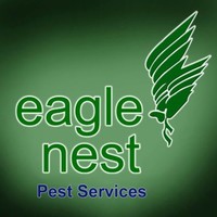 eagle nest