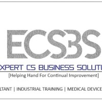 Expert CS Business Solutions