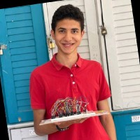 Mahmoud Elsaey