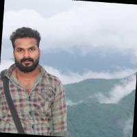Nandu N S