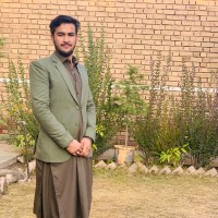 Syed baseer Abbas abdi