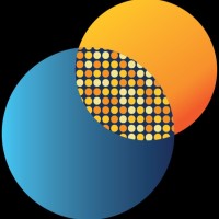 Seurat Group Consumer Insights