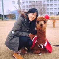 Carol Chin