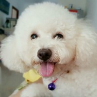 吴培坤