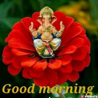 Vinit Vashisht