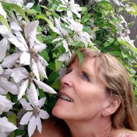 Shelly Bird, Pmp