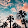 ITSJUST_DAI C