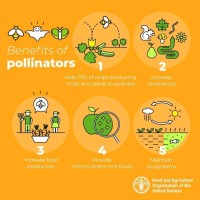 Jorge Guerra Iglesias