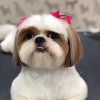 Andrea Cyrill Khurana