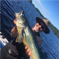 Marc Laviolette