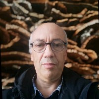 Nuno Vidal