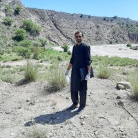 qaiser riaz adil