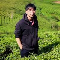 Tran Bui