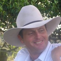 Clive Dingle