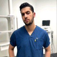 mahmoud Hawash