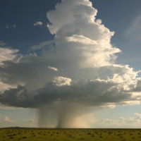 Ted Thunder