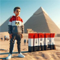 Tarek Ahmed