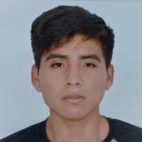 Leo Alarcon Condori