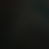 Wendy C.