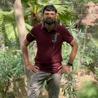rupin shah