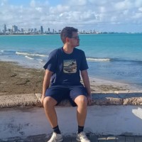 João Vítor Alves Domingues