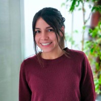Engely De Los Angeles Perez Medina