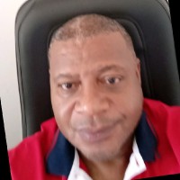 Hamilton Ferreira lima