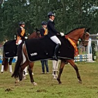 Coen Uijt De Boogaardt