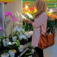 Gusti Ayu Arbella