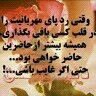 Mohammad Javad Mohammadabadi