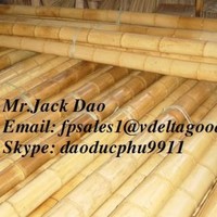 Jack Dao