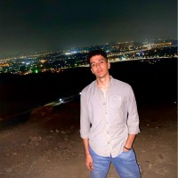 Ziad Elshamy