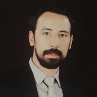 Amir Afsary
