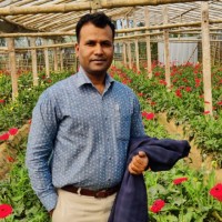 Shakhawat Hossain