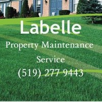 Andy Labelle