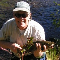 John Williamson