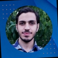 Amir Amini