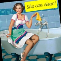 She Can Clean